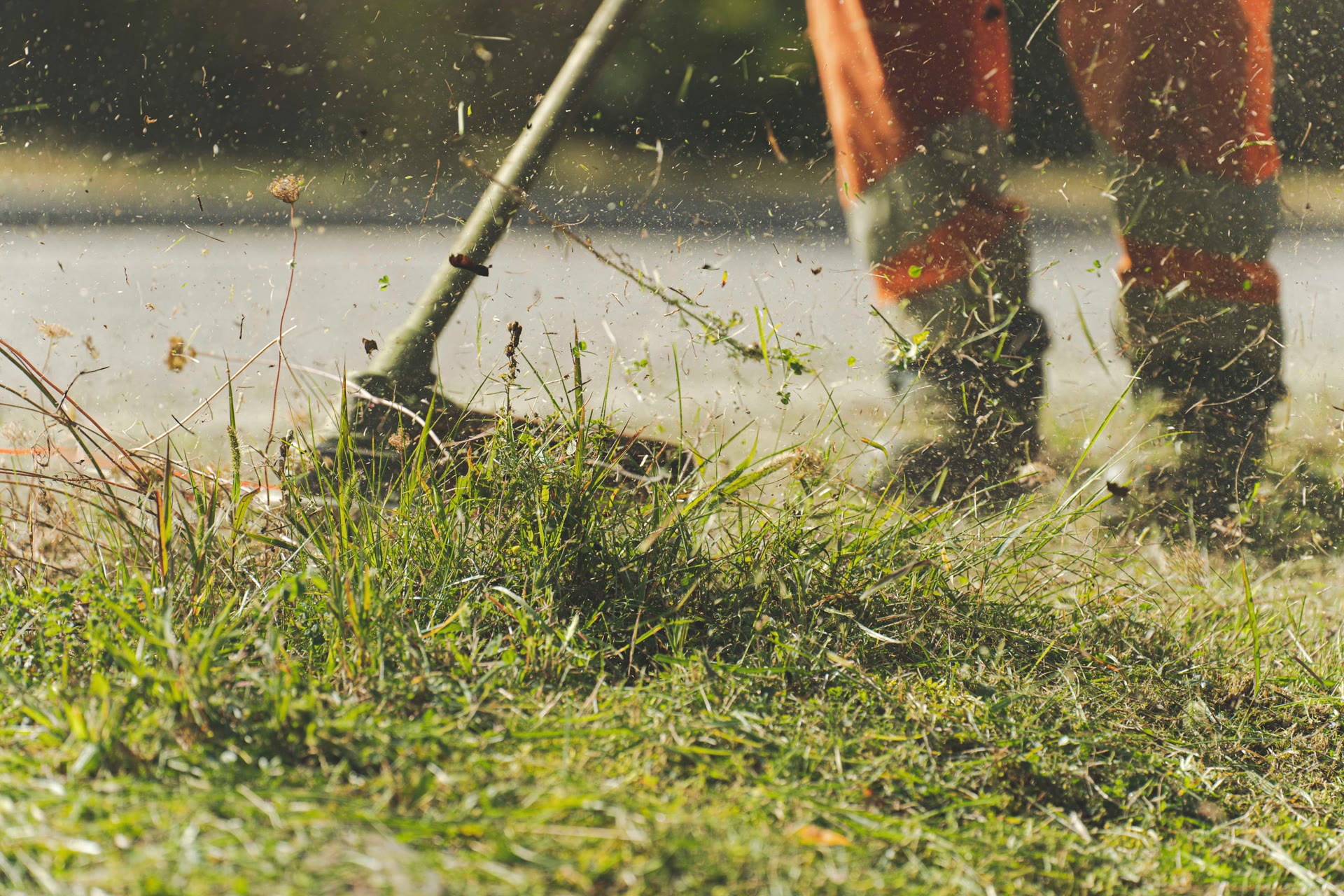 Landscaper cutting long grass with a line trimmer, clippings flying