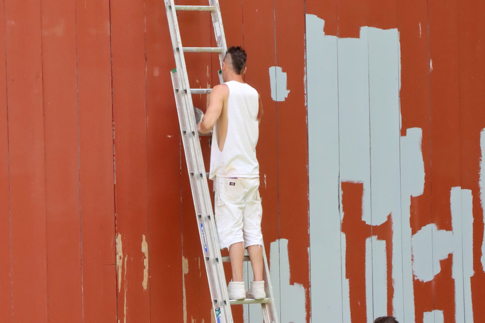 Painter on a ladder repainting old red weatherboards in pale blue